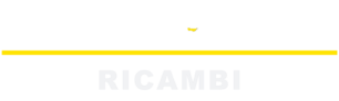 Autoleone Lancar Ricambi